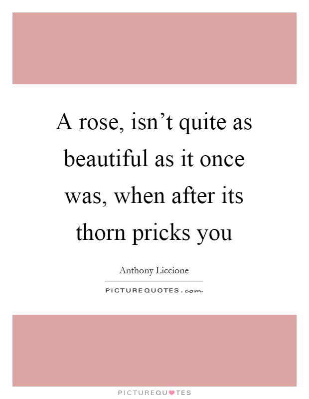A rose, isn't quite as beautiful as it once was, when after its thorn pricks you Picture Quote #1
