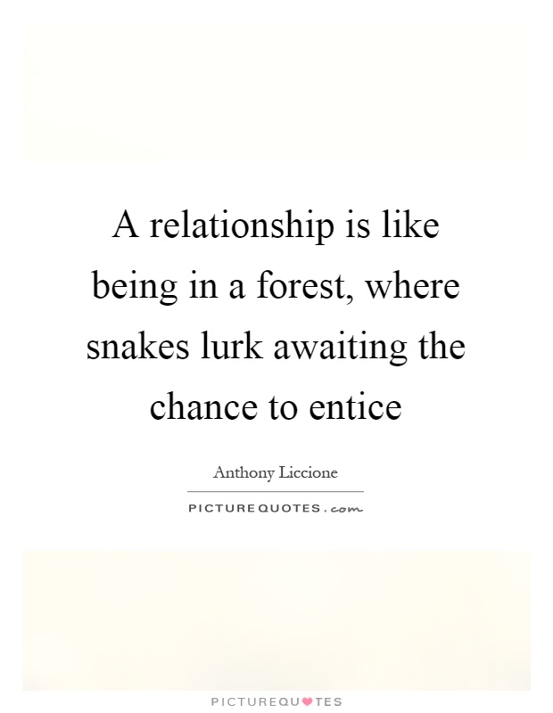 A relationship is like being in a forest, where snakes lurk awaiting the chance to entice Picture Quote #1