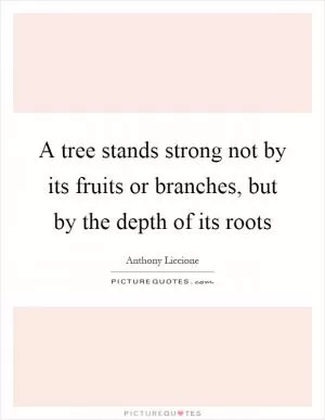 A tree stands strong not by its fruits or branches, but by the depth of its roots Picture Quote #1