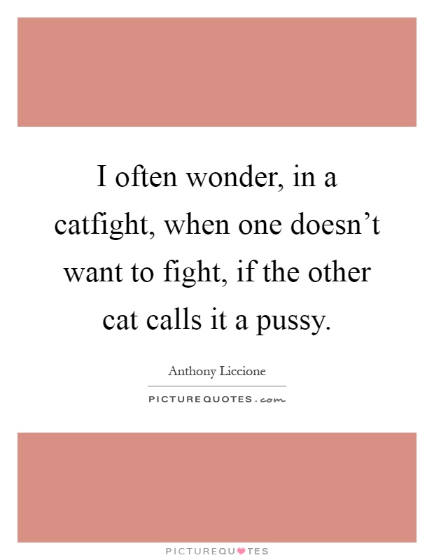 I often wonder, in a catfight, when one doesn't want to fight, if the other cat calls it a pussy Picture Quote #1