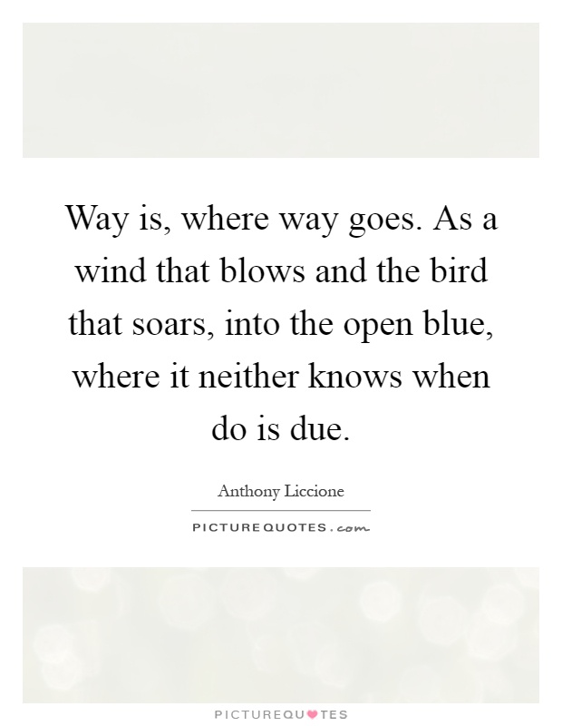 Way is, where way goes. As a wind that blows and the bird that soars, into the open blue, where it neither knows when do is due Picture Quote #1