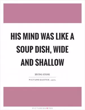 His mind was like a soup dish, wide and shallow Picture Quote #1