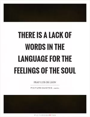 There is a lack of words in the language for the feelings of the soul Picture Quote #1
