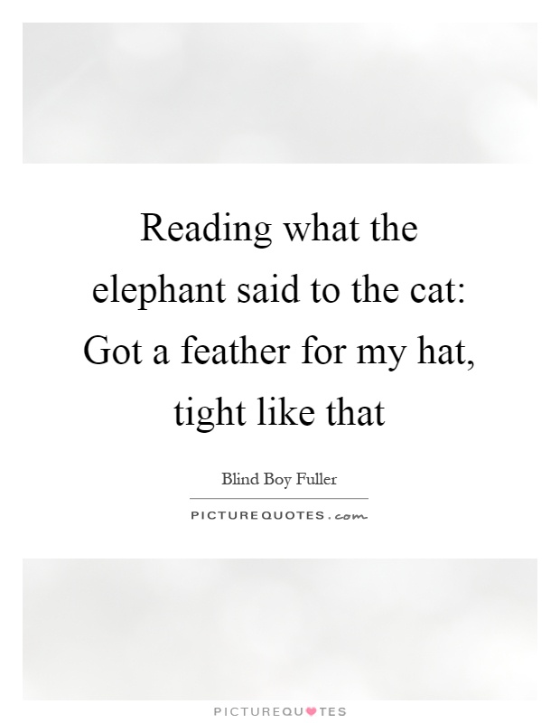 Reading what the elephant said to the cat: Got a feather for my hat, tight like that Picture Quote #1