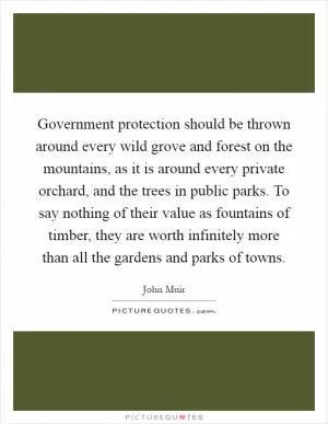 Government protection should be thrown around every wild grove and forest on the mountains, as it is around every private orchard, and the trees in public parks. To say nothing of their value as fountains of timber, they are worth infinitely more than all the gardens and parks of towns Picture Quote #1