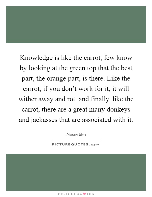 Knowledge is like the carrot, few know by looking at the green top that the best part, the orange part, is there. Like the carrot, if you don't work for it, it will wither away and rot. and finally, like the carrot, there are a great many donkeys and jackasses that are associated with it Picture Quote #1