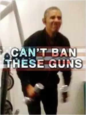 Can’t ban these guns Picture Quote #1