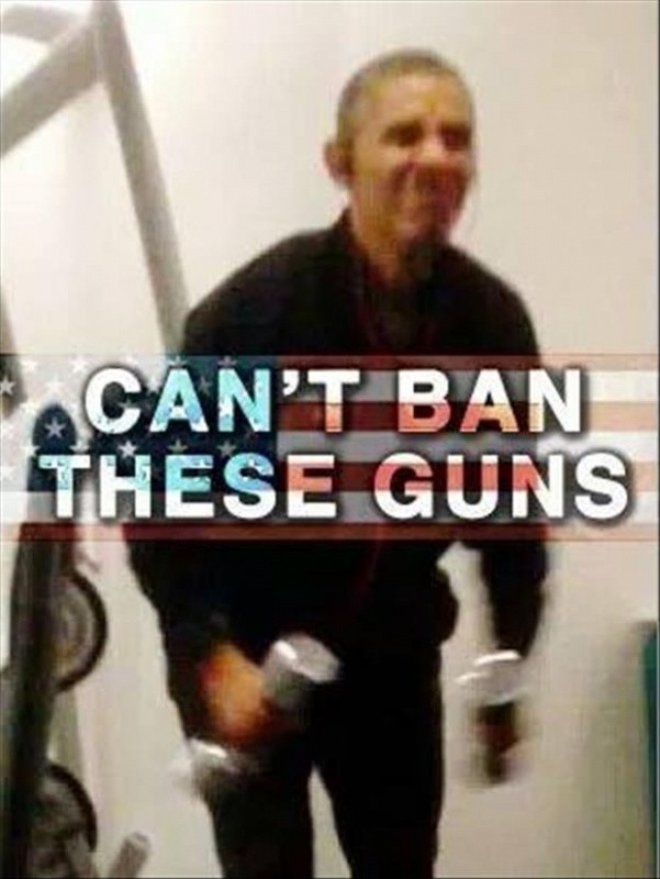 Can't ban these guns Picture Quote #1