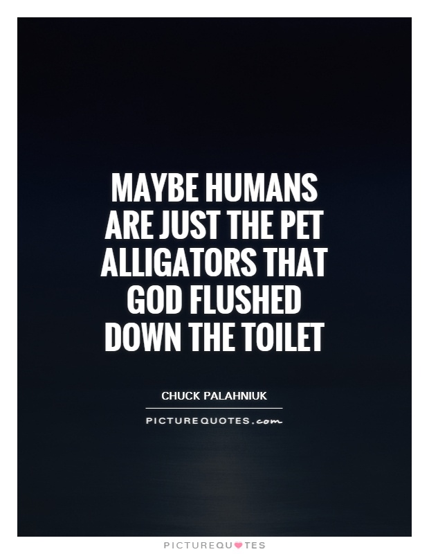 Maybe humans are just the pet alligators that God flushed down the toilet Picture Quote #1