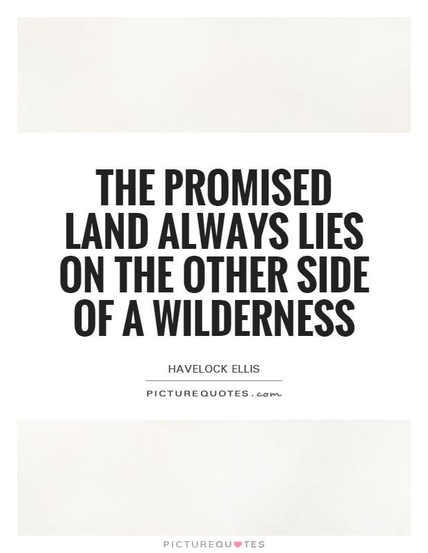 The Promised Land always lies on the other side of a Wilderness Picture Quote #1