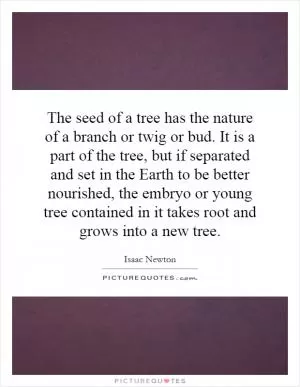 The seed of a tree has the nature of a branch or twig or bud. It is a part of the tree, but if separated and set in the Earth to be better nourished, the embryo or young tree contained in it takes root and grows into a new tree Picture Quote #1