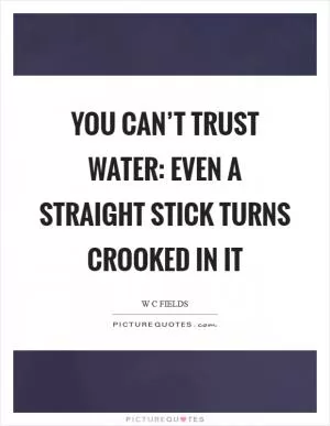 You can’t trust water: Even a straight stick turns crooked in it Picture Quote #1