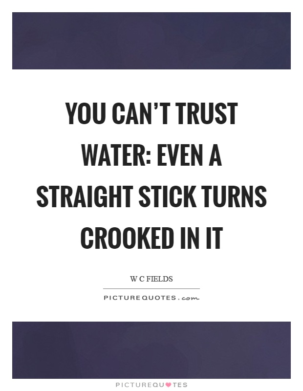 You can't trust water: Even a straight stick turns crooked in it Picture Quote #1