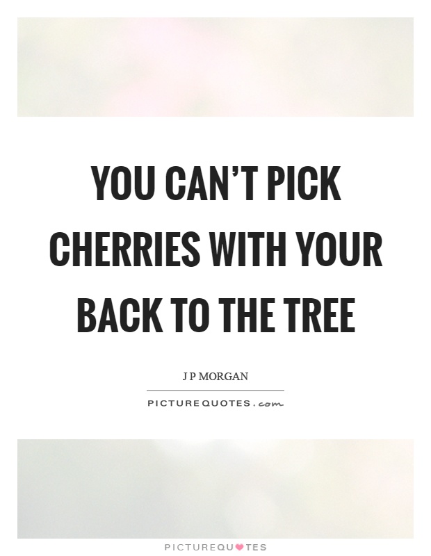 You can't pick cherries with your back to the tree Picture Quote #1