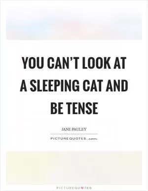 You can’t look at a sleeping cat and be tense Picture Quote #1