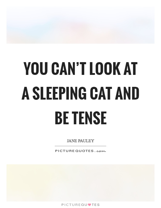 You can't look at a sleeping cat and be tense Picture Quote #1