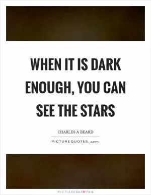 When it is dark enough, you can see the stars Picture Quote #1