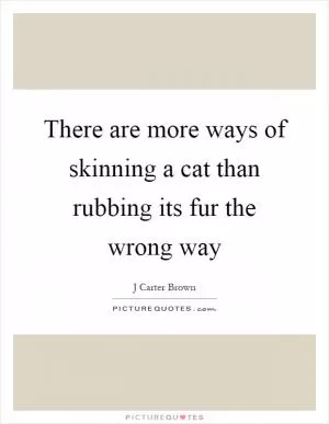 There are more ways of skinning a cat than rubbing its fur the wrong way Picture Quote #1
