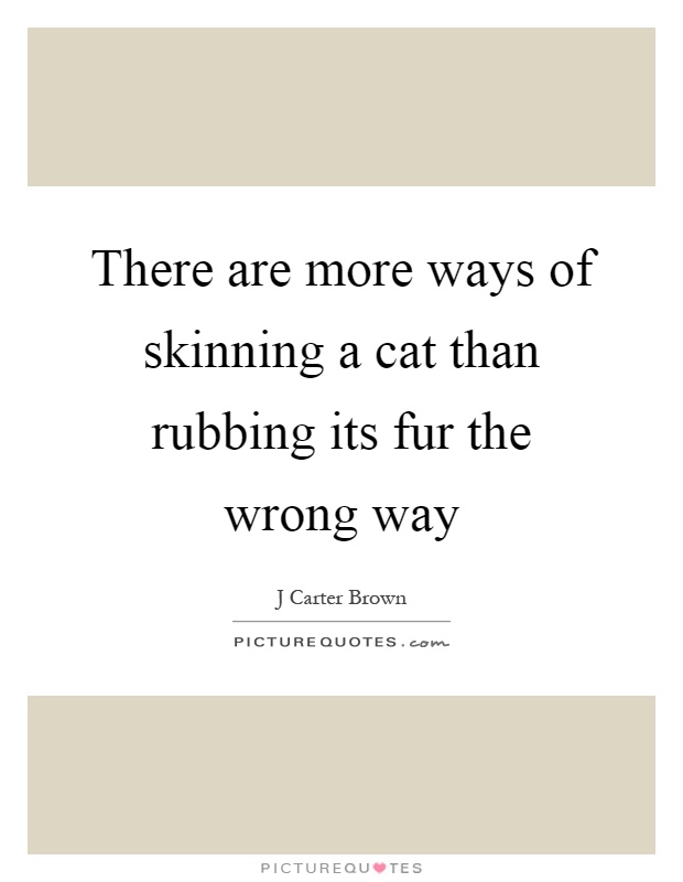 There are more ways of skinning a cat than rubbing its fur the wrong way Picture Quote #1