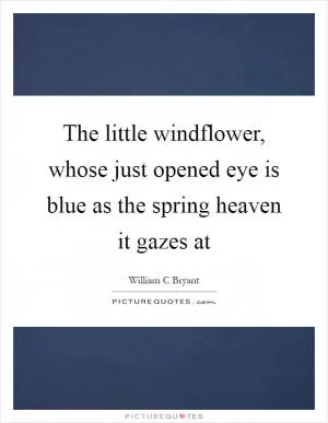 The little windflower, whose just opened eye is blue as the spring heaven it gazes at Picture Quote #1