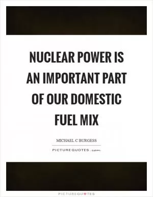 Nuclear power is an important part of our domestic fuel mix Picture Quote #1