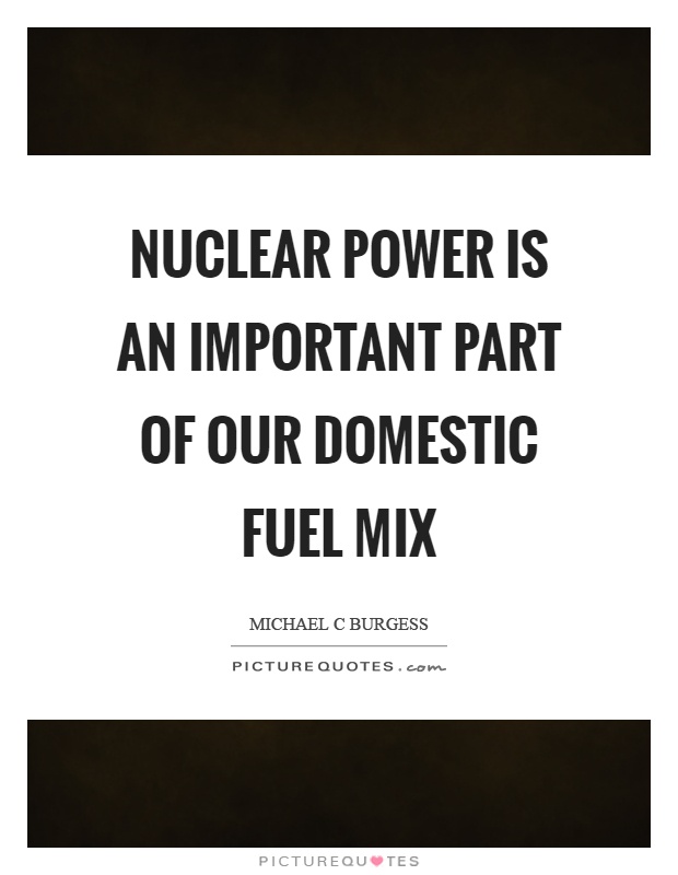 Nuclear power is an important part of our domestic fuel mix Picture Quote #1