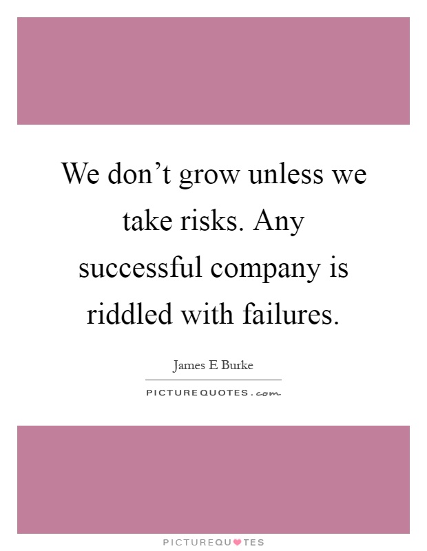 We don't grow unless we take risks. Any successful company is riddled with failures Picture Quote #1