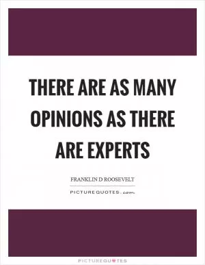 There are as many opinions as there are experts Picture Quote #1