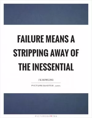 Failure means a stripping away of the inessential Picture Quote #1