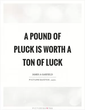 A pound of pluck is worth a ton of luck Picture Quote #1