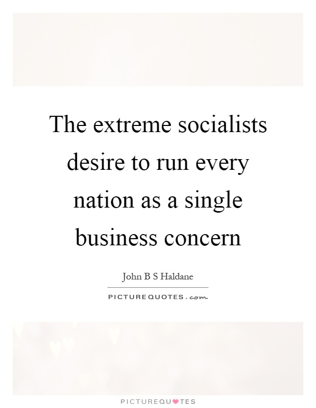 The extreme socialists desire to run every nation as a single business concern Picture Quote #1