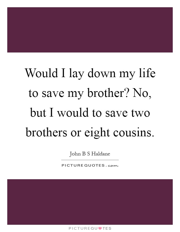 Would I lay down my life to save my brother? No, but I would to save two brothers or eight cousins Picture Quote #1