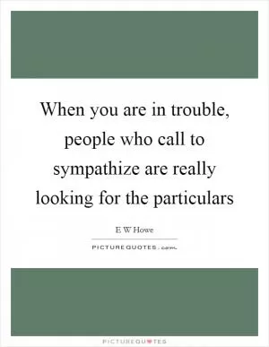 When you are in trouble, people who call to sympathize are really looking for the particulars Picture Quote #1