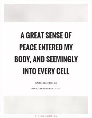 A great sense of peace entered my body, and seemingly into every cell Picture Quote #1