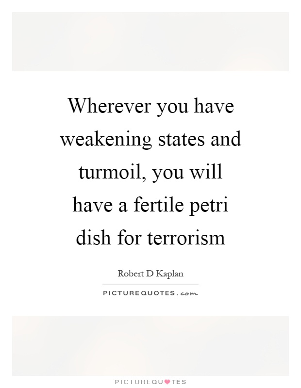 Wherever you have weakening states and turmoil, you will have a fertile petri dish for terrorism Picture Quote #1