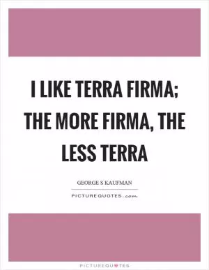 I like terra firma; the more firma, the less terra Picture Quote #1