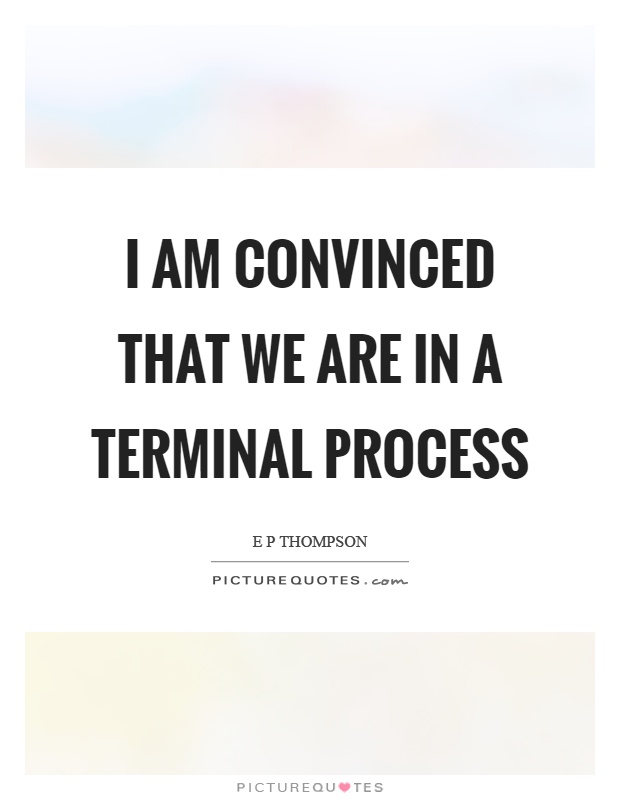 I am convinced that we are in a terminal process Picture Quote #1