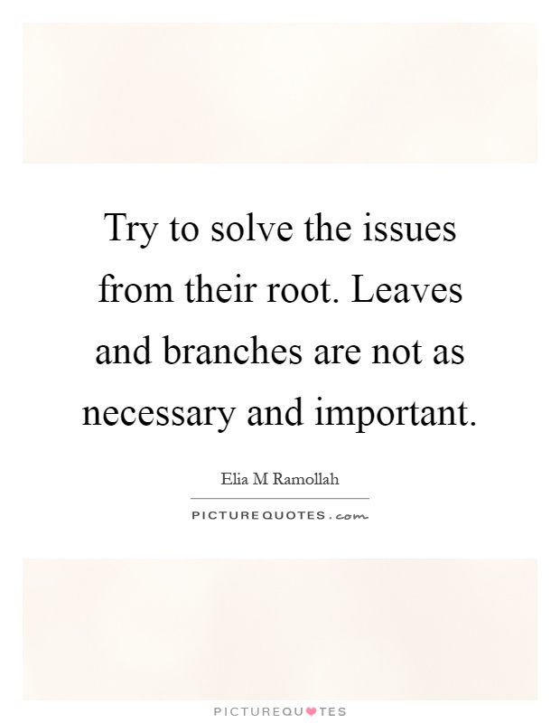 Try to solve the issues from their root. Leaves and branches are not as necessary and important Picture Quote #1