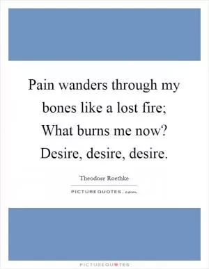 Pain wanders through my bones like a lost fire; What burns me now? Desire, desire, desire Picture Quote #1