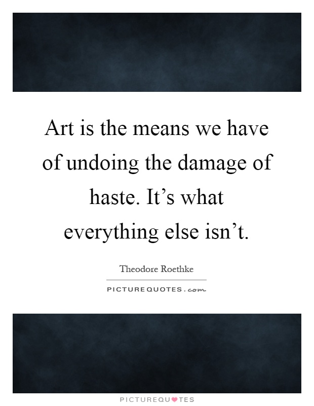 Art is the means we have of undoing the damage of haste. It's what everything else isn't Picture Quote #1