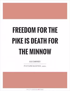 Freedom for the pike is death for the minnow Picture Quote #1
