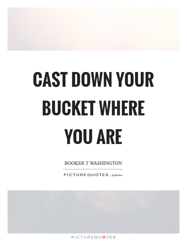 Cast down your bucket where you are Picture Quote #1