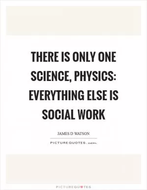 There is only one science, physics: everything else is social work Picture Quote #1