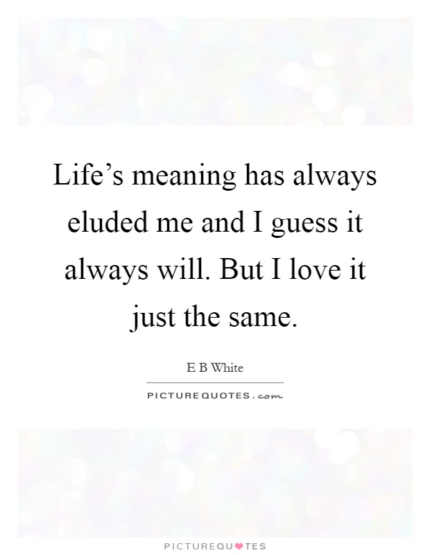 Life's meaning has always eluded me and I guess it always will. But I love it just the same Picture Quote #1