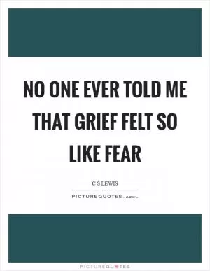 No one ever told me that grief felt so like fear Picture Quote #1