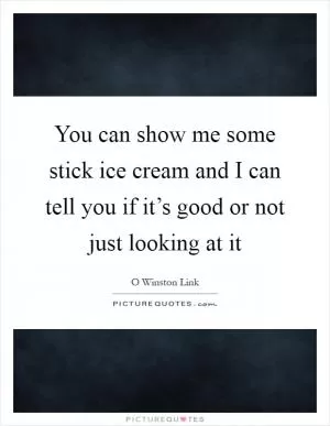 You can show me some stick ice cream and I can tell you if it’s good or not just looking at it Picture Quote #1