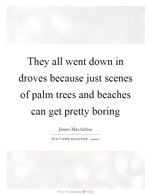 They all went down in droves because just scenes of palm trees and beaches can get pretty boring Picture Quote #1
