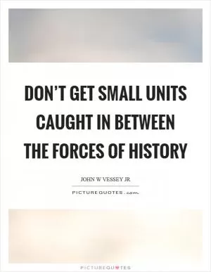 Don’t get small units caught in between the forces of history Picture Quote #1
