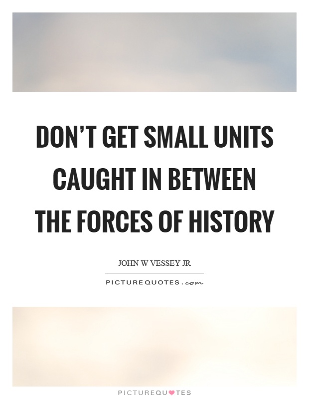 Don't get small units caught in between the forces of history Picture Quote #1