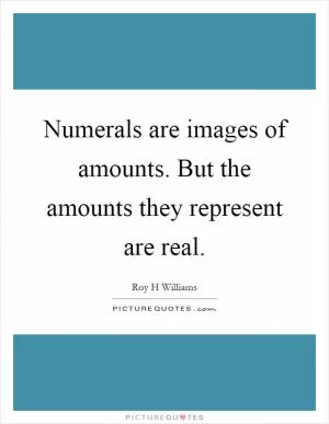 Numerals are images of amounts. But the amounts they represent are real Picture Quote #1